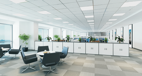 1551342852.jpg 1551342852.jpg